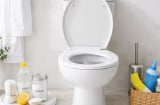 6 mẹo đơn giản giúp bồn cầu luôn sáng bóng, sạch sẽ và không còn mùi hôi