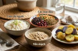 Chỉ cần đổi cách ăn cơm quen thuộc, nhiều người giảm mỡ gan đáng kể: Bí mật từ “tinh bột kháng” ít ai biết
