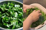 Vì sao người ta phải vò nát rau ngót trước khi nấu?