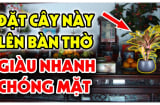 4 loại hoa đặt lên bàn thờ ngày mùng 1 gia chủ hốt vàng hốt bạc, tiền về như nước