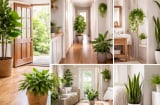 5 vị trí đặt cây trong nhà tưởng đẹp nhưng lại “chặn lộc”, nhiều người mắc mà không biết