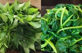 Loại rau rẻ bèo ngoài chợ Việt: Ăn đều đặn mới biết giá trị thật sự với sức khỏe