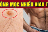 3 vị trí càng nhiều lông càng giàu có
