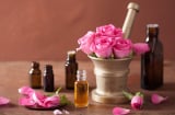 Hoa hồng – “thảo dược vàng” cho làn da và tinh thần trong làm đẹp hiện đại