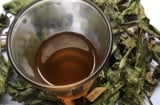 5 người nên thường xuyên uống lá xạ đen