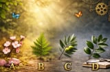 Quiz: chọn 1 cành lá bạn thích nhất: Bạn là người giàu cảm xúc hay thiên về lý trí?