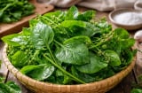 5 trường hợp nên cẩn trọng khi ăn rau mồng tơi: Tưởng lành mà không phải ai cũng hợp