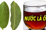 5 người nên thường xuyên uống nước lá ổi