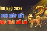 Quý II/2026: 3 con giáp Cầm Cờ Phất Cao, 1 tuổi lao đao khổ sở