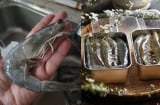 Mẹo bảo quản tôm bằng đường, để cả tháng vẫn tươi ngon, chắc thịt