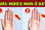 Người phú quý hơn người trên bàn tay có 4 điểm này: Kiểm tra ngay xem bạn có không?
