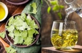 Uống nước lá sen, cơ thể nhận được 4 loại ích tuyệt vời