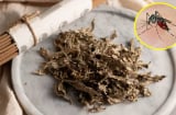 Đặt nắm lá này trong phòng, muỗi chạy sạch, nhà lúc nào cũng thơm tho