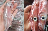 Mẹo phân biệt mực tươi và mực đã bị ướp đá lâu