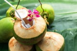 3 nhóm người nên uống nước dừa