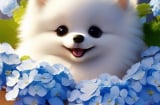 3 tuổi bắt nhịp thời đại cực nhanh: Biến động đến đâu cũng xoay chuyển kịp thời, không lo tụt lại phía sau