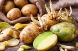 Khoai tây mọc mầm, vỏ vàng chuyển thành xanh: Nguy cơ nghiêm trọng mà nhiều người không biết