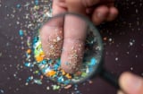 Hạt vi nhựa là gì? Tác hại khủng khiếp của vi nhựa, 5 thực phẩm chứa nhiều nhất cần tránh