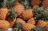 Cách ăn dứa hỗ trợ thải độc gan thận, giảm cân cấp tốc