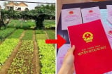 Từ năm 2026, chi phí chuyển đất vườn lên đất ở mất bao nhiêu tiền?