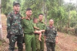 Cháu bé 3 tuổi được tìm thấy một mình trong rừng sau 18 giờ mất tích: Diễn biến bất ngờ