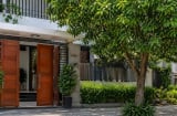 Vì sao không nên trồng cây lớn trước nhà? 3 lý do nhiều người chỉ nhận ra khi đã muộn
