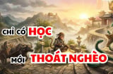 3 con giáp này mang mệnh Văn Xương, học càng cao đời càng Phú Quý