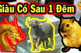 40 ngày tới: 3 con giáp Ăn Lộc Tổ Tiên, Tiền - Tài - Danh - Lộc tề tựu