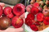 Một ngày nên ăn bao nhiêu quả mận để không bị nóng trong?