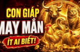 4 con giáp chào đời có thần May Mắn kề cận, Tiền chẳng mấy khi vơi