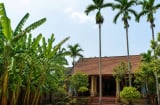 Vì sao người xưa dặn “chuối sau nhà, cau trước nhà”? Nếu đổi vị trí thì có thể ảnh hưởng gì xấu?