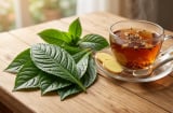 Trồng cây xương sông trong vườn, nhiều người mắc sai lầm khiến dược tính giảm đáng tiếc