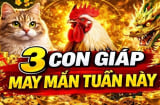 Ăn may nhất tuần (11/5-17/5), 3 con giáp lương thưởng tăng gấp đôi