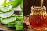 Mật ong kết hợp với nha đam có tác dụng gì cho da?