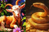 48 giờ tới: 3 con giáp dễ bị “đánh úp” vì lời nói, càng thân quen càng phải cẩn trọng