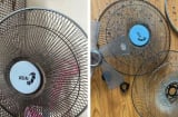3 cách vệ sinh quạt điện không cần tháo lồng: Nhanh gọn, sạch bụi, tiết kiệm thời gian