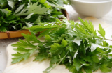 Xông mặt bằng ngải cứu đúng cách giúp da sạch sâu, giảm mụn và thư giãn hiệu quả
