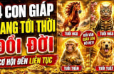 4 con giáp Danh tiến - Lợi tăng - Duyên đến, đời này ăn no ngủ kỹ