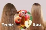 4 nguyên liệu tự nhiên giúp phục hồi tóc khô xơ, gãy rụng ngay tại nhà