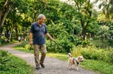 Vì sao nhiều người lớn tuổi ngày càng thích sống cùng thú cưng?
