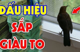 3 cpn vật vào nhà Thần Tài ghé thăm: Đừng dại đuổi chúng đi nhé