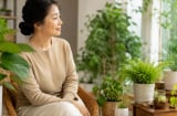 7 loại cây cảnh thích hợp cho người ngoài tuổi 40: dễ thư thái, ít phải chăm, hợp độ tuổi