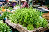 Bác sĩ Đông y gợi ý loại rau nên ăn mùa nóng: Ít calo, giàu khoáng chất, hợp cả người bị gút