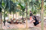 Bỏ công việc ổn định ở thành phố, nữ thủ khoa chọn sống giữa trang trại rộng hàng nghìn mét vuông