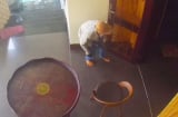 Chân dung tên trộm đi máy bay từ Hải Phòng vào Cần Thơ đột nhập biệt thự trộm 1,5 tỷ đồng