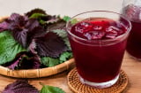 Người có 1 trong 4 bệnh lại cần cẩn trọng khi uống nước lá tía tô