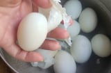 5 người nên ăn sáng bằng trứng gà luộc, tốt cho cả người