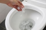 Đổ đá lạnh vào bồn cầu có tác dụng gì? Nhiều người bất ngờ, ai biết cũng muốn làm theo