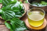 Cách nấu nước lá lốt để mang lại nhiều công dụng cho sức khoẻ