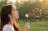 Người khôn ngoan sẽ bỏ dần 5 thói quen này: Bớt đi mới thấy cuộc sống dễ thở hơn